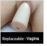 Removable Vagina